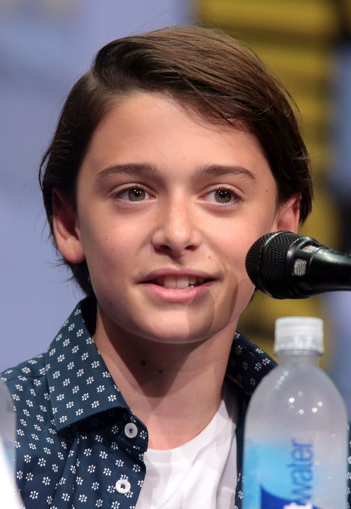 The Rise of Noah Schnapp in Hollywood