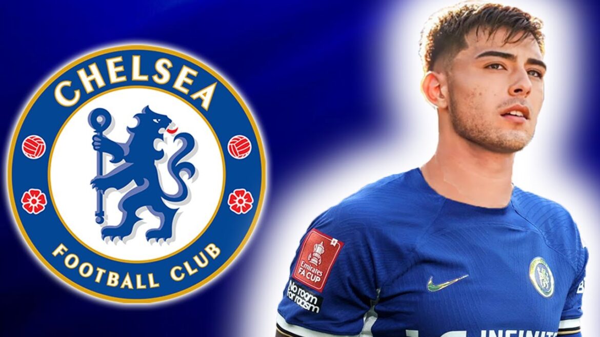 Anselmino: A New Talent Making Waves in Music