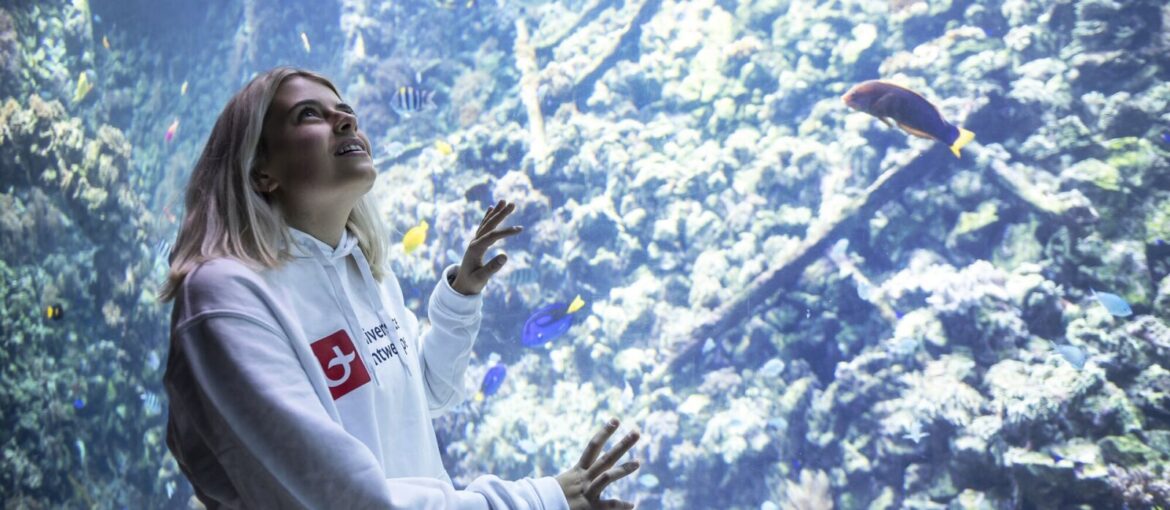 Unveiling the Charms of Antwerp: Belgium’s Jewel