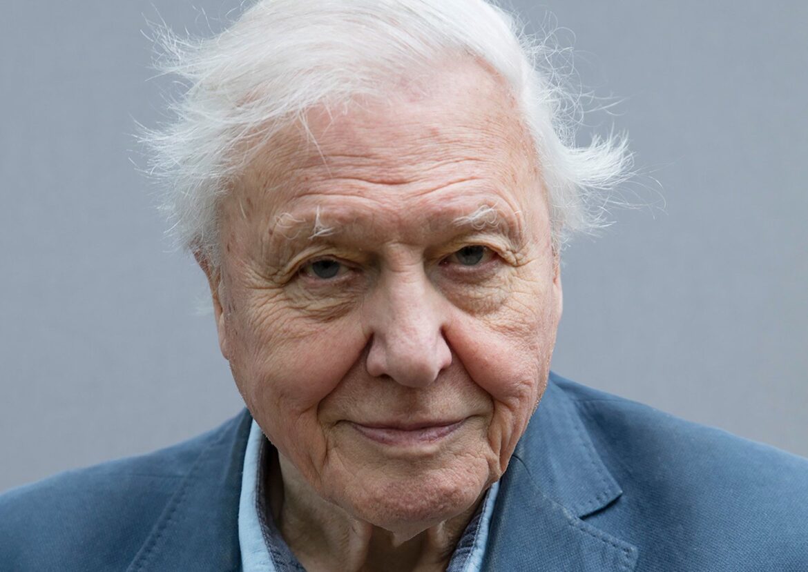 The Enduring Impact of David Attenborough on Nature Documentaries