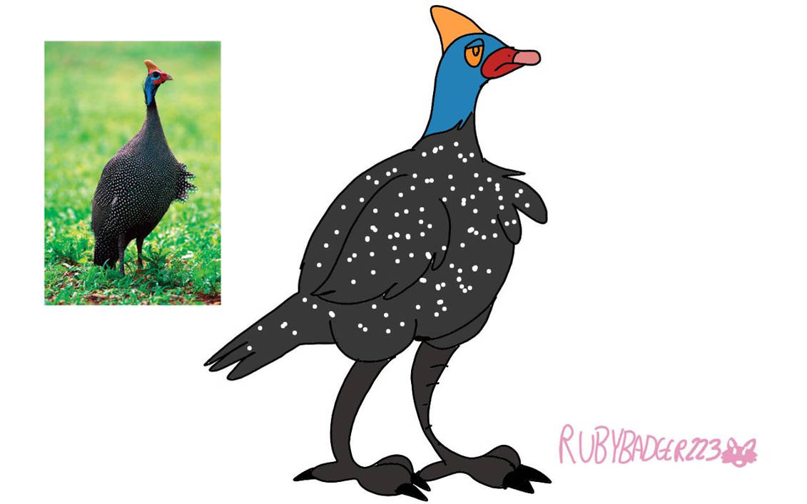 Latest Developments in Guinea: A Nation in Transition