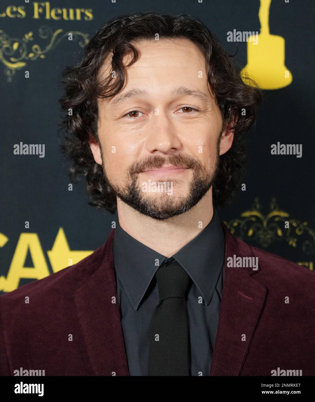 The Remarkable Career of Joseph Gordon-Levitt