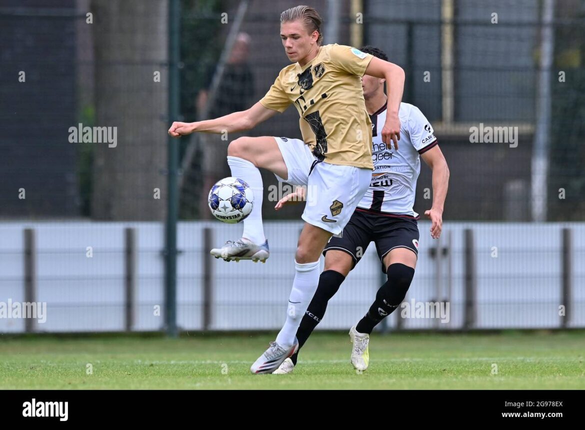 The Artistic Journey of Mees Rijks