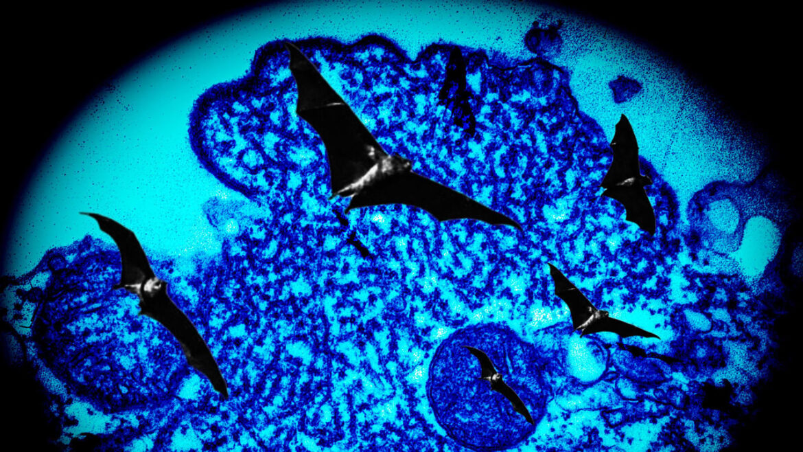 Nipah Virus: Risks, Outbreaks, and Public Health Responses