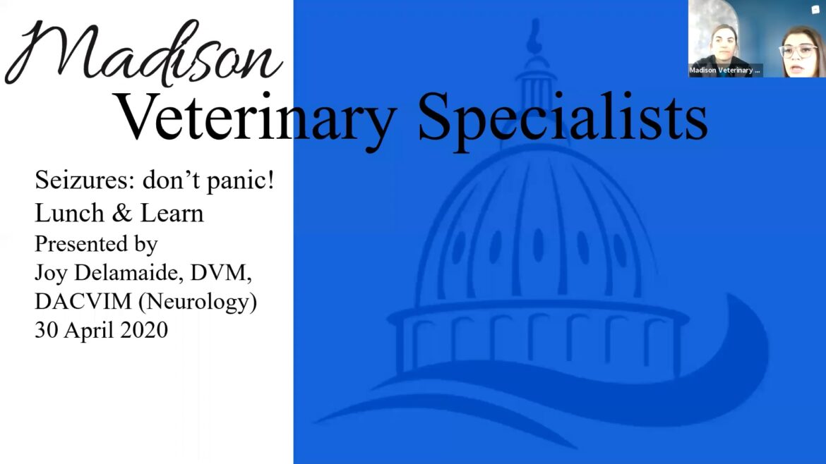 Understanding Norway’s Wartime Property Seizures