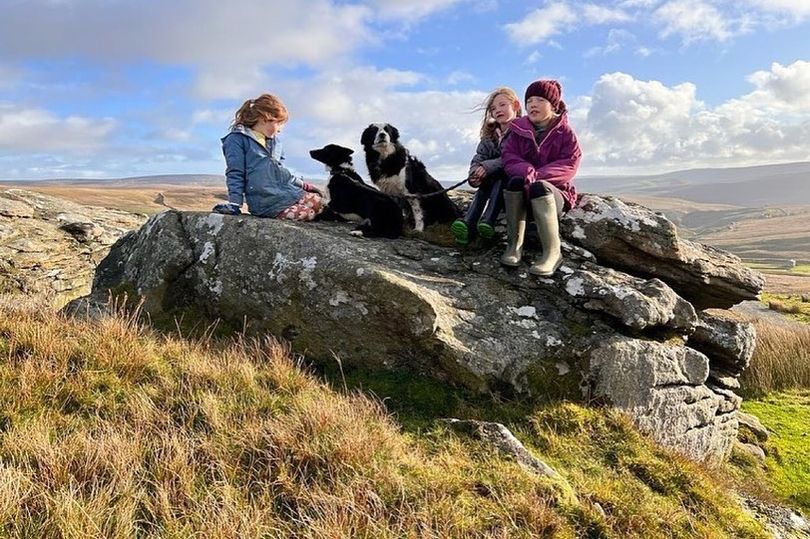 Exploring Our Farm Next Door: Benefits and Community Impact