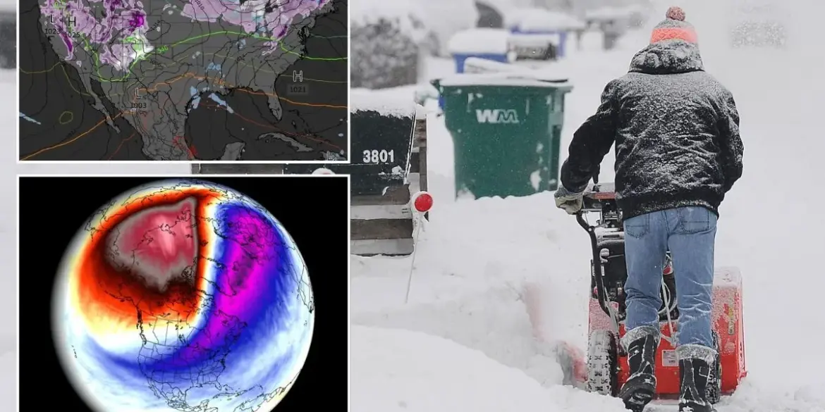 Understanding the Polar Vortex Collapse Forecasts