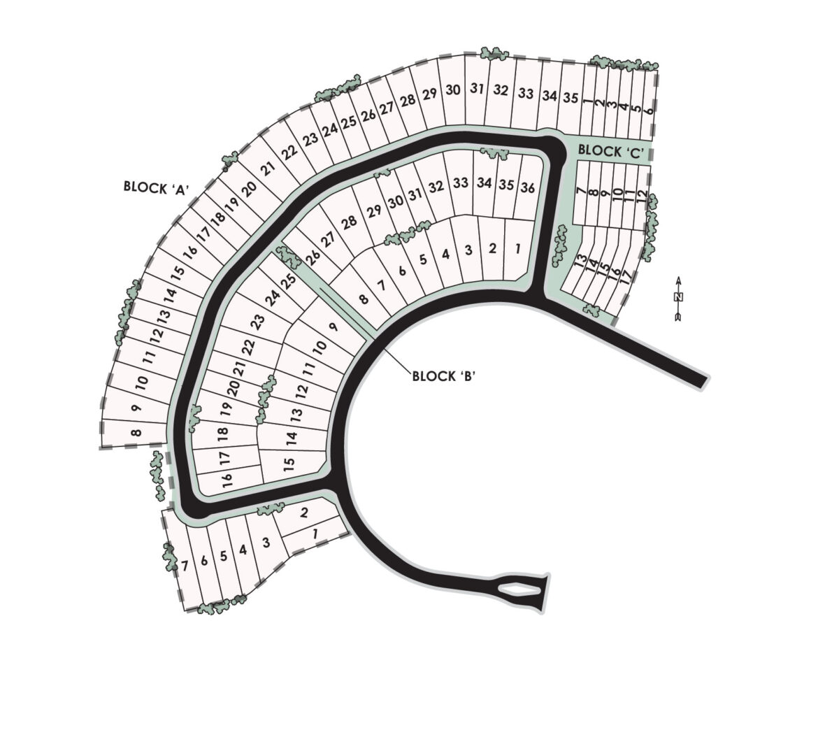 Exploring the Beauty of Summerville: A Hidden Gem