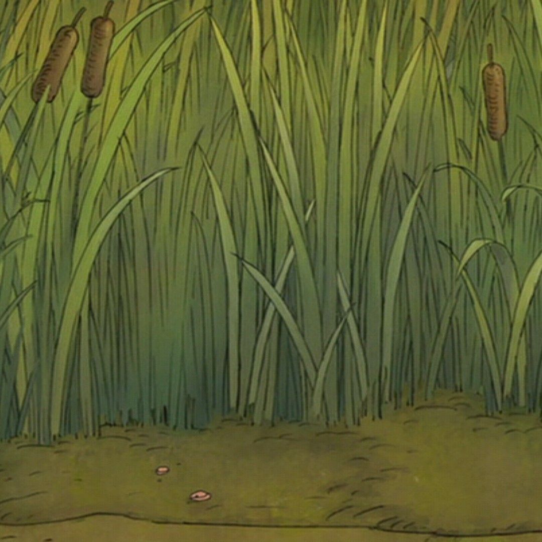 The Hundred: A Transformative Format in Cricket