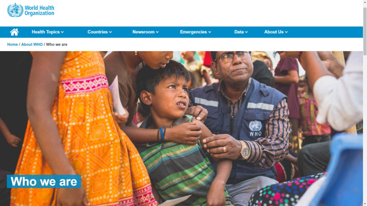 Understanding the Role of the World Health Organization