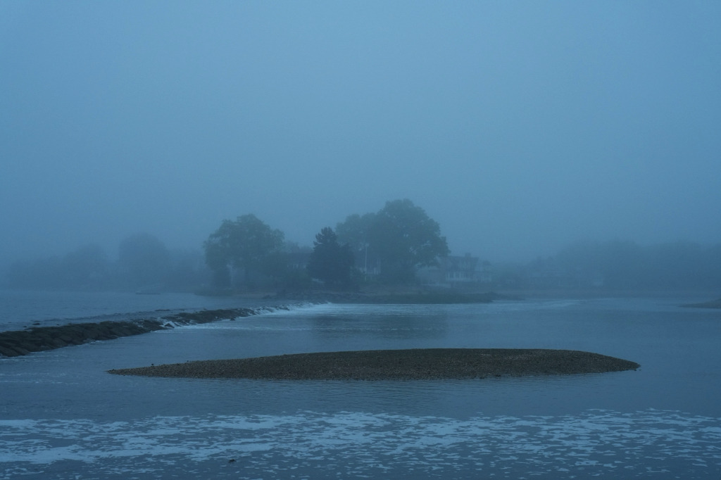 The Versatile Journey of Billy Crudup