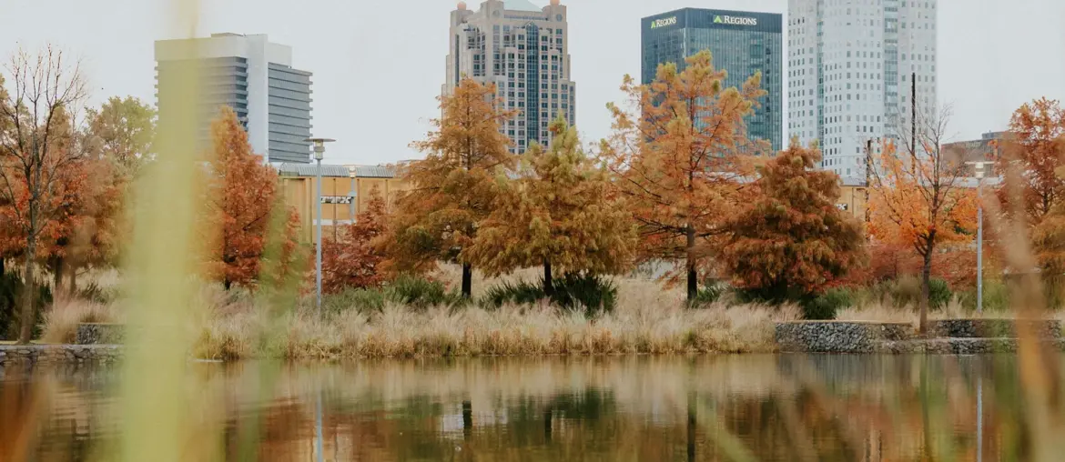 Current Birmingham Weather Forecast and Insights