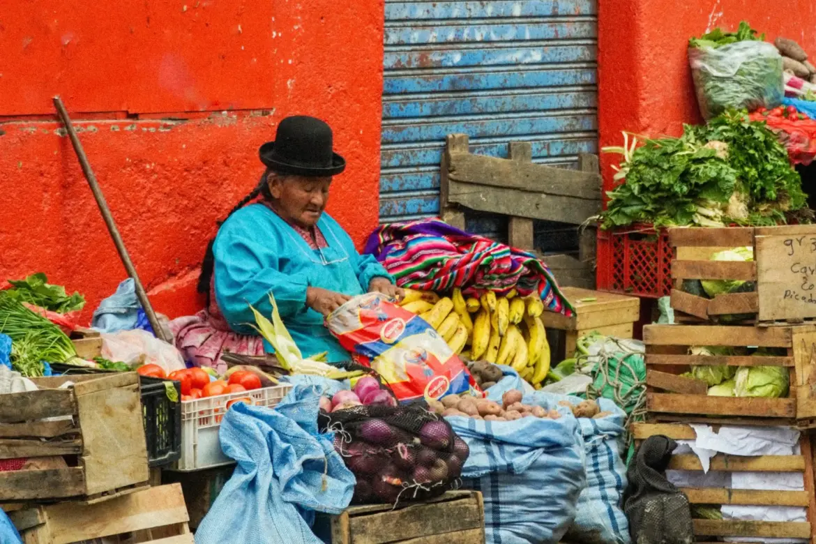 A Journey Through Bolivia: Culture, Nature, and History