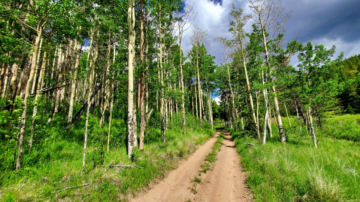 Discovering the Wonders of Colorado