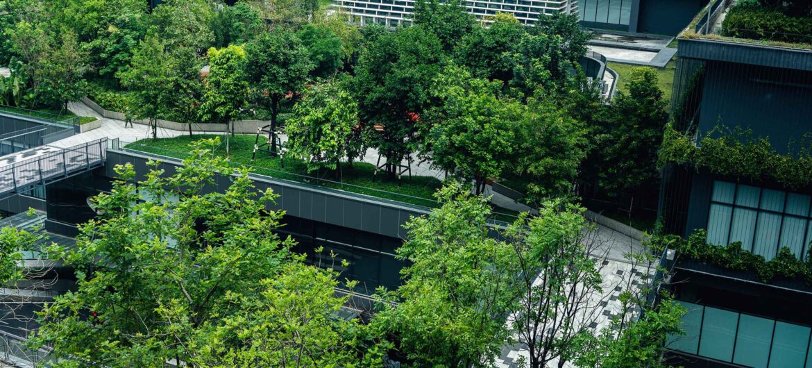 Current Developments at CPFC: Crystal Palace Football Club