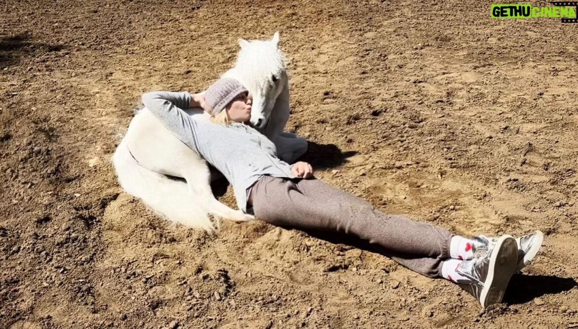 Daryl Hannah: From Hollywood Star to Environmental Activist