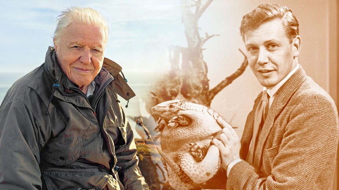 David Attenborough: A Life Devoted to Nature