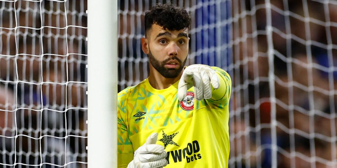 The Journey and Impact of David Raya in the Premier League
