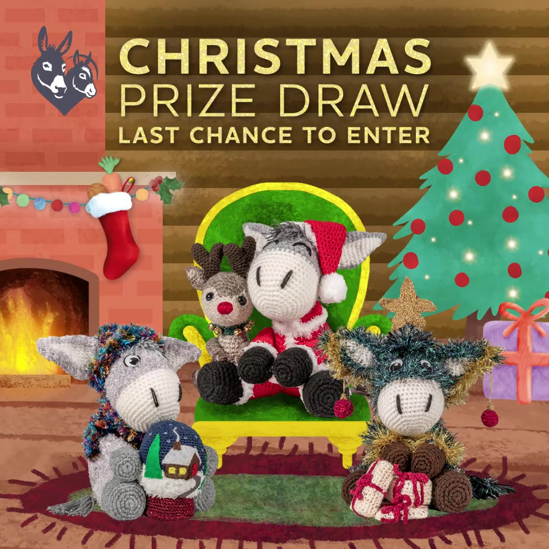 Impact of Wet Winter Damage on Donkey Sanctuaries