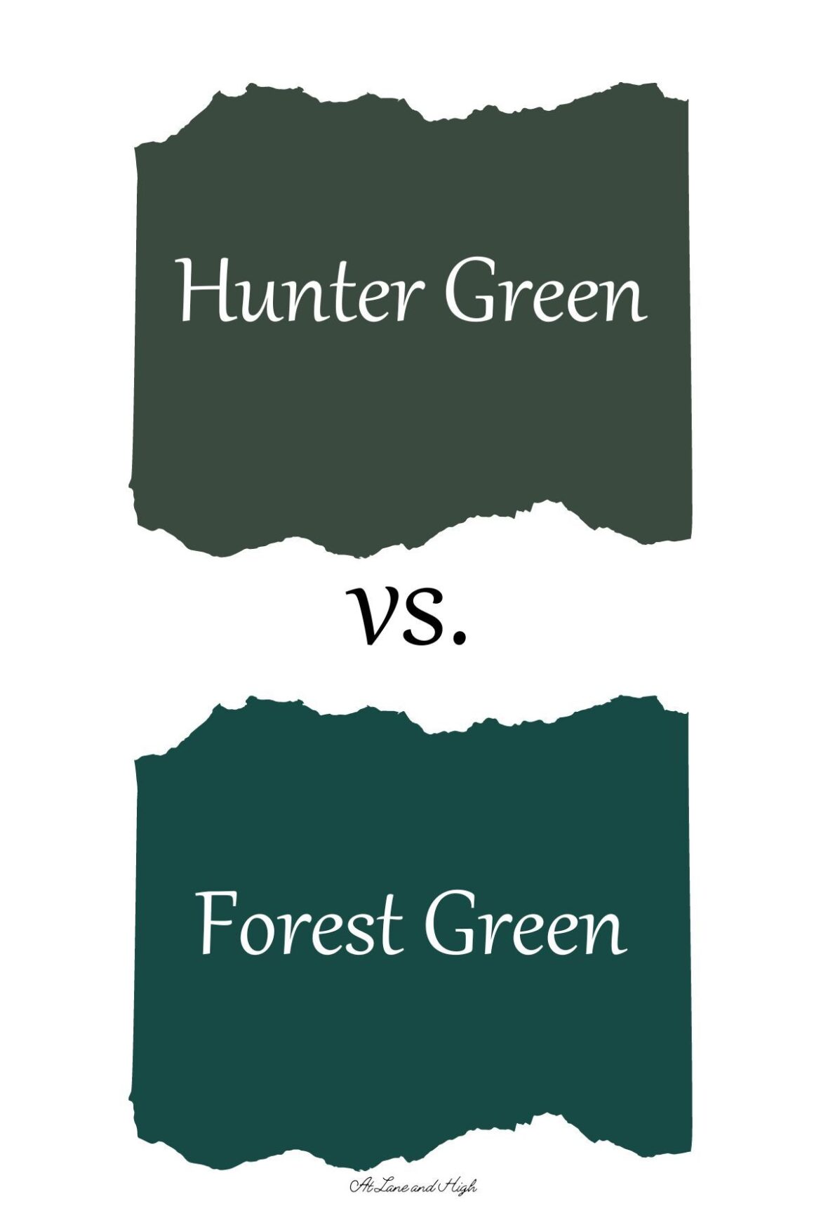 Comparing Forest Green and Carlisle: A Season Overview