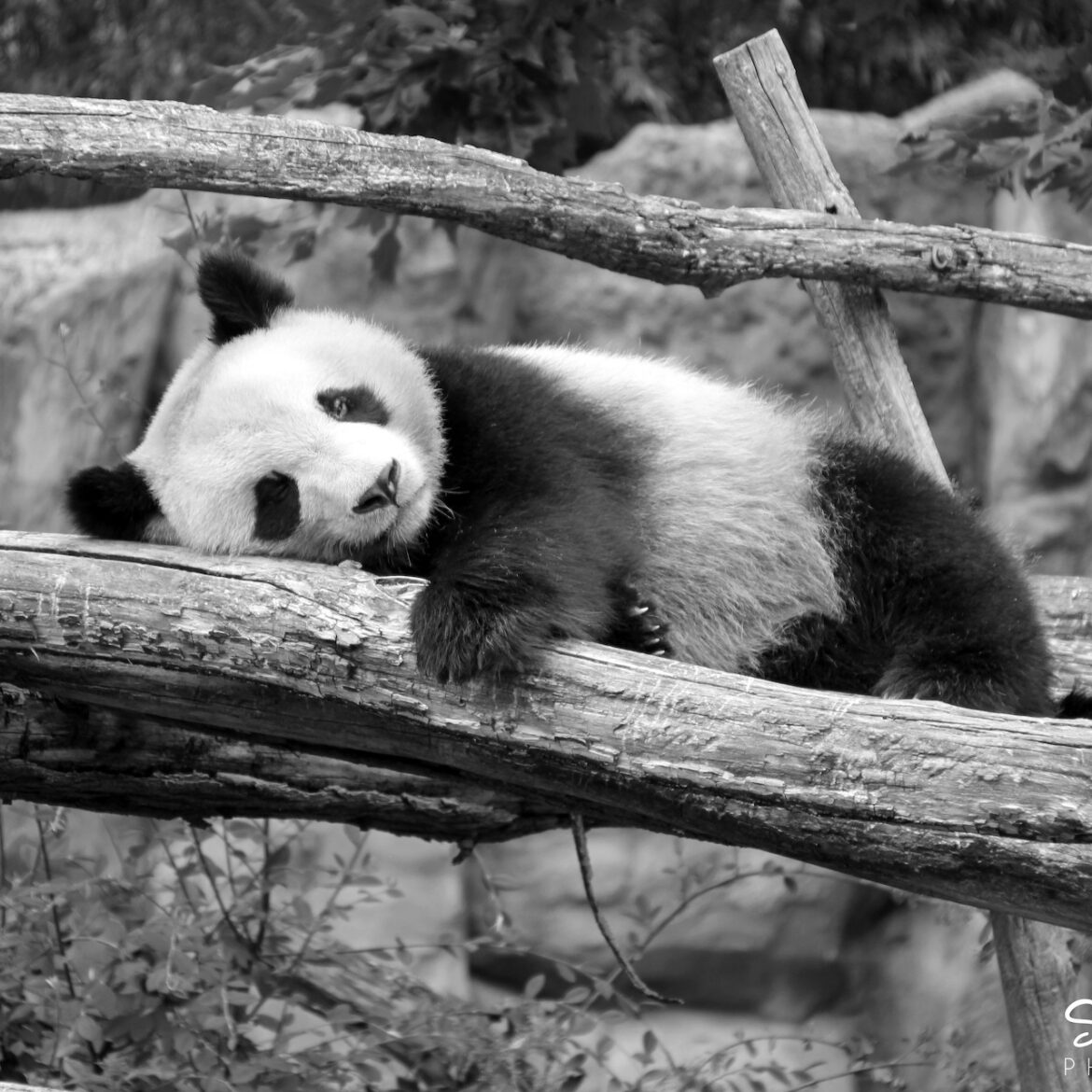 The Significance of Freely Sharing Information