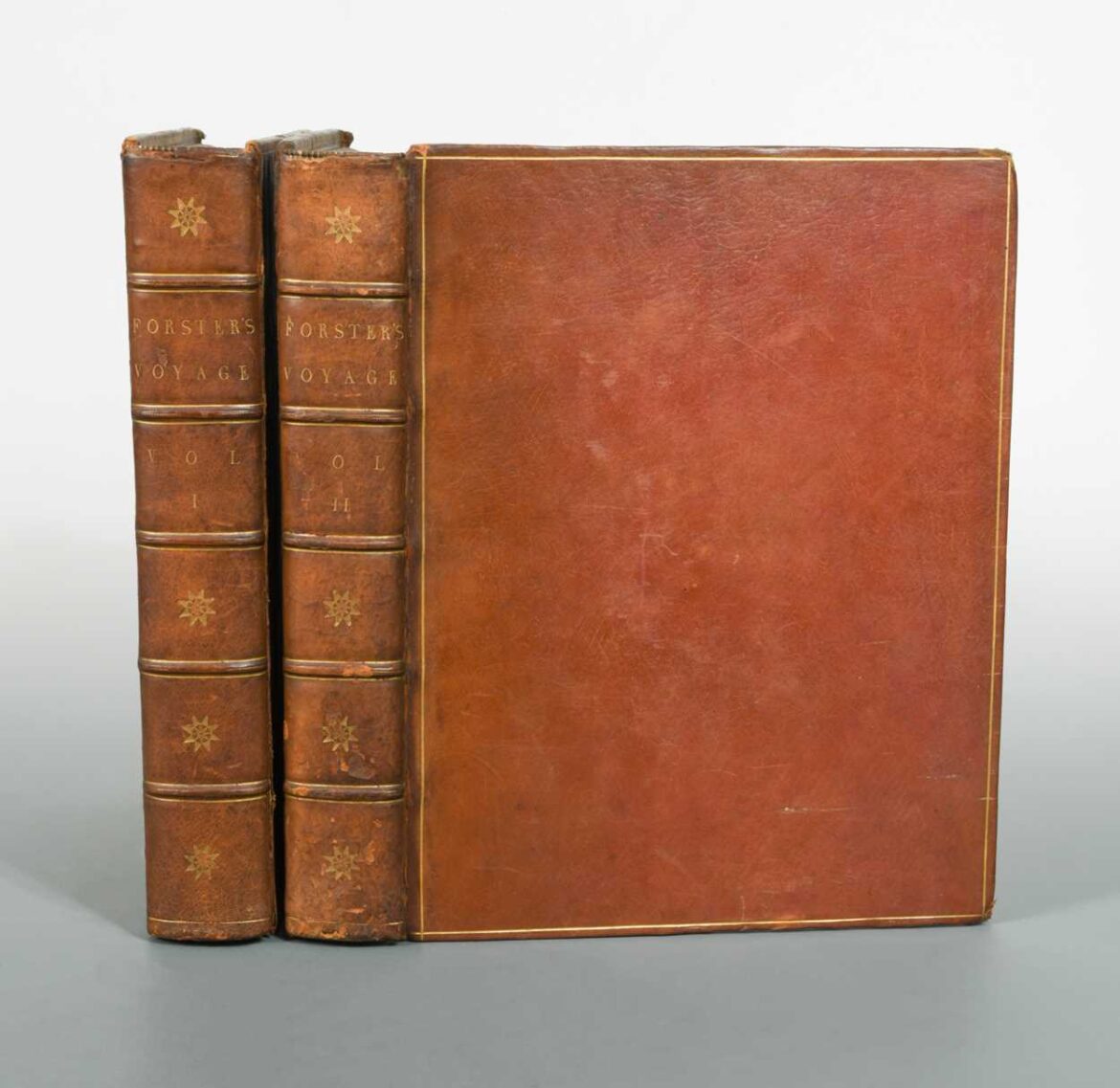 The Legacy of George Forster in Sunderland