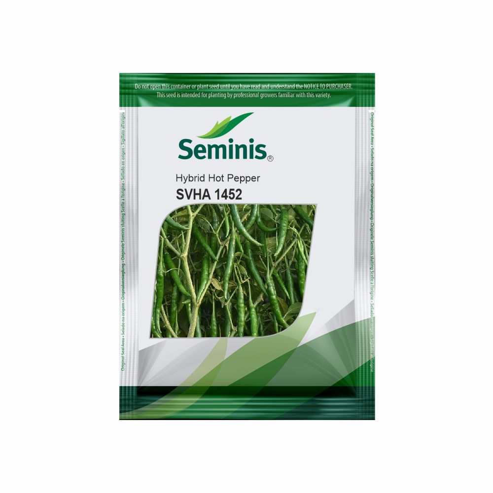 General Motors: Driving Innovation in the Automotive Industry