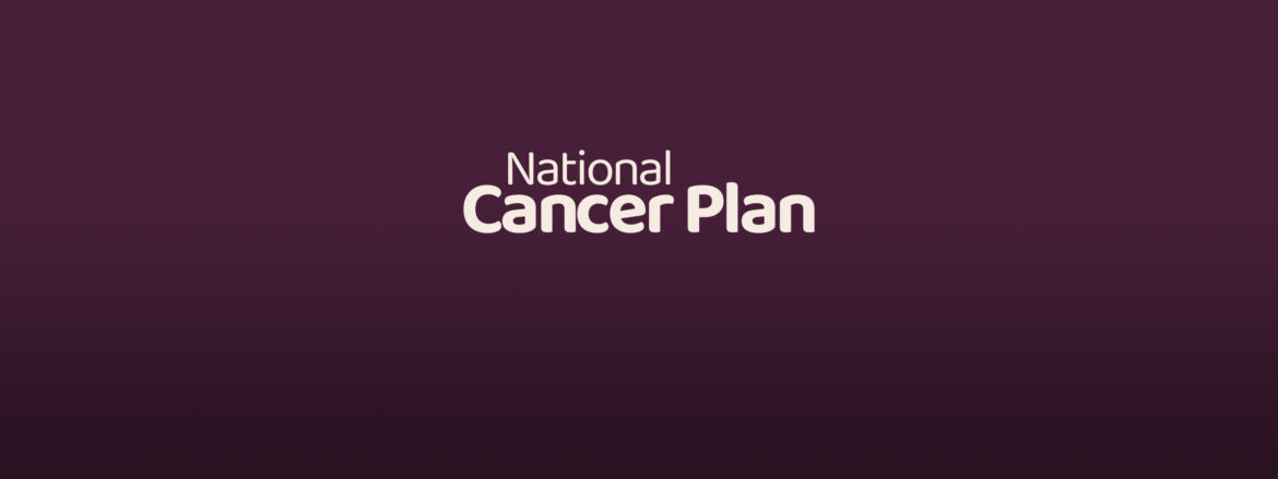 Insight into the Government National Cancer Plan