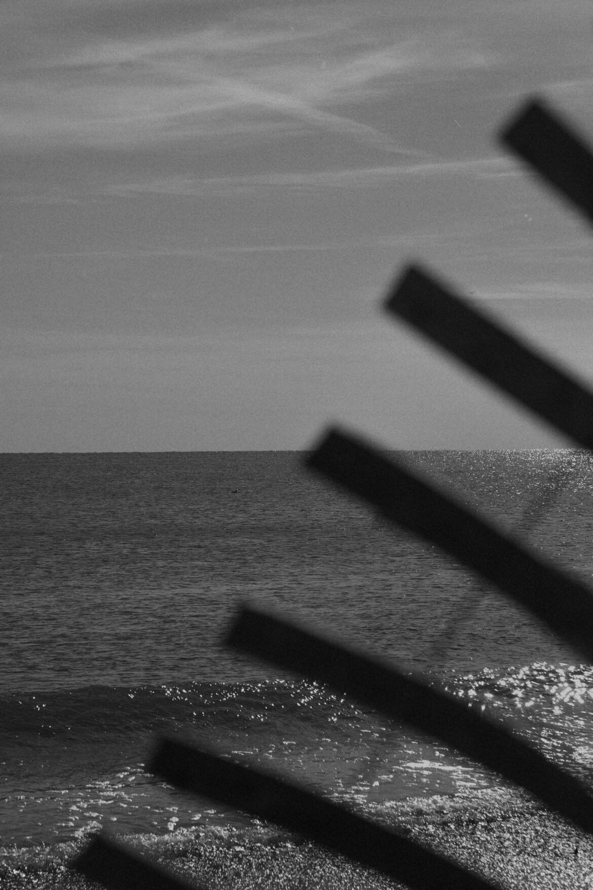 The Rise of Grant Stewart in UK Cricket