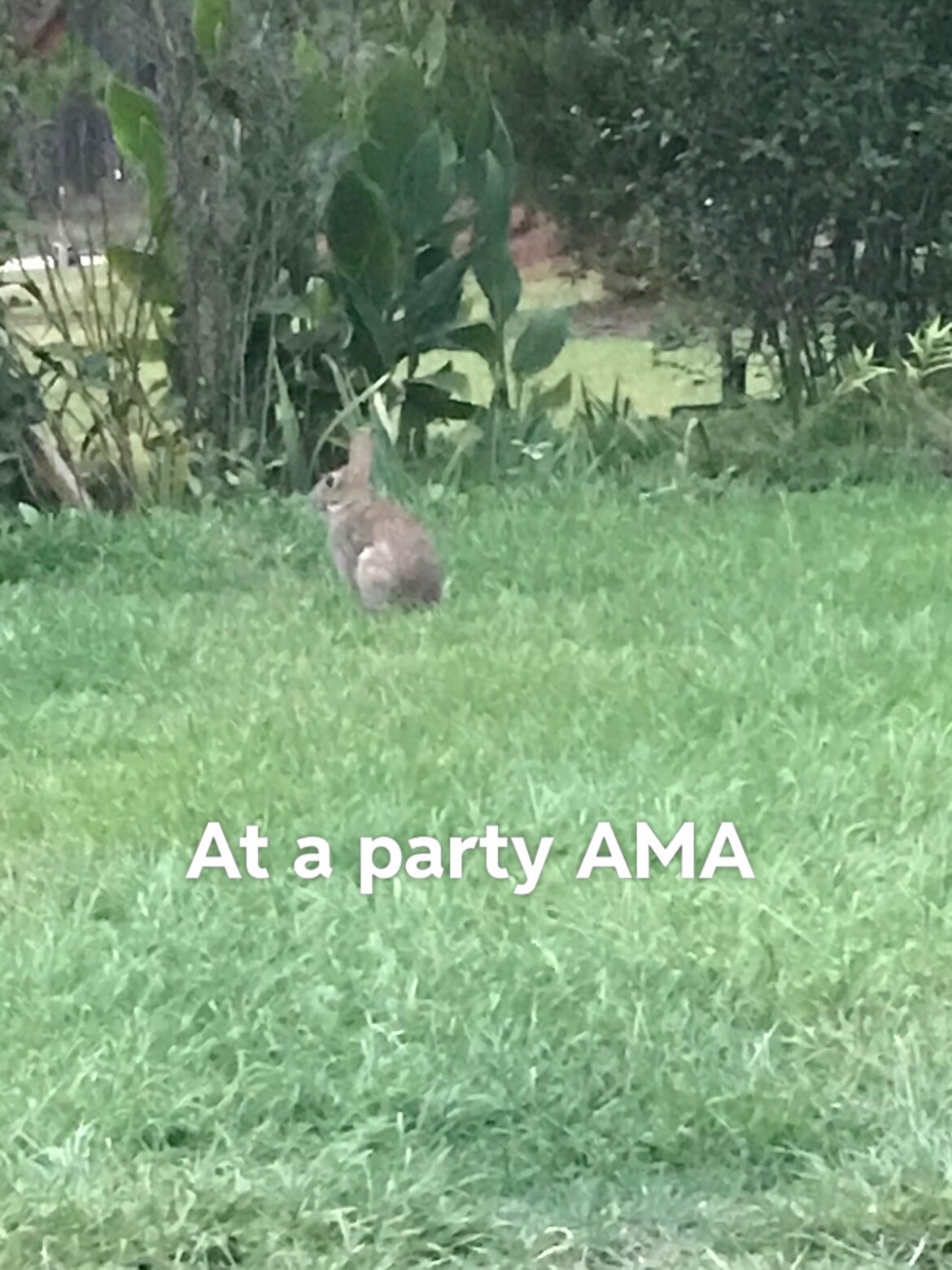 The Role of ‘Hello’ in Communication Today