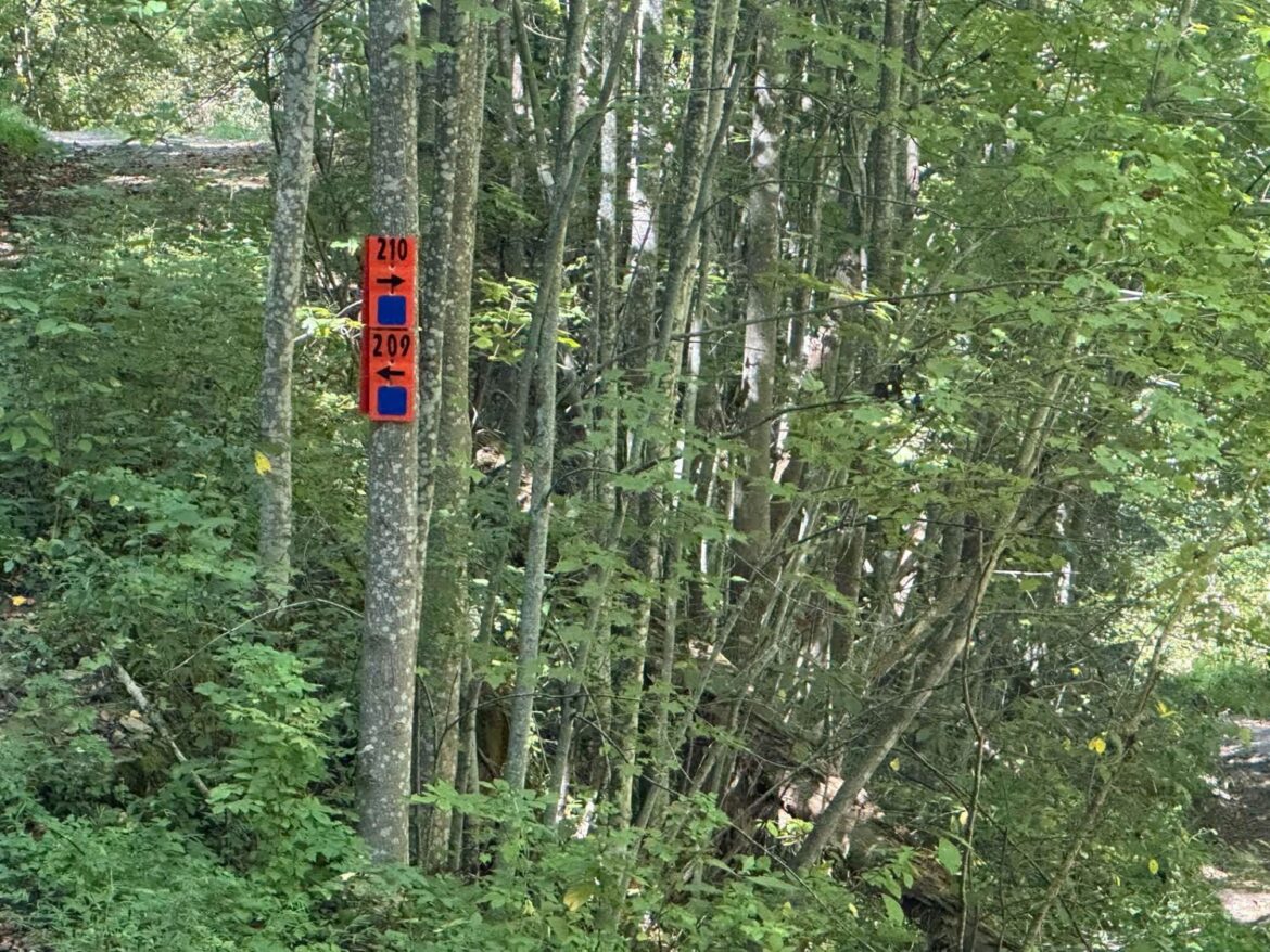 Discover the Charms of Kentucky: A Journey Through the Bluegrass State