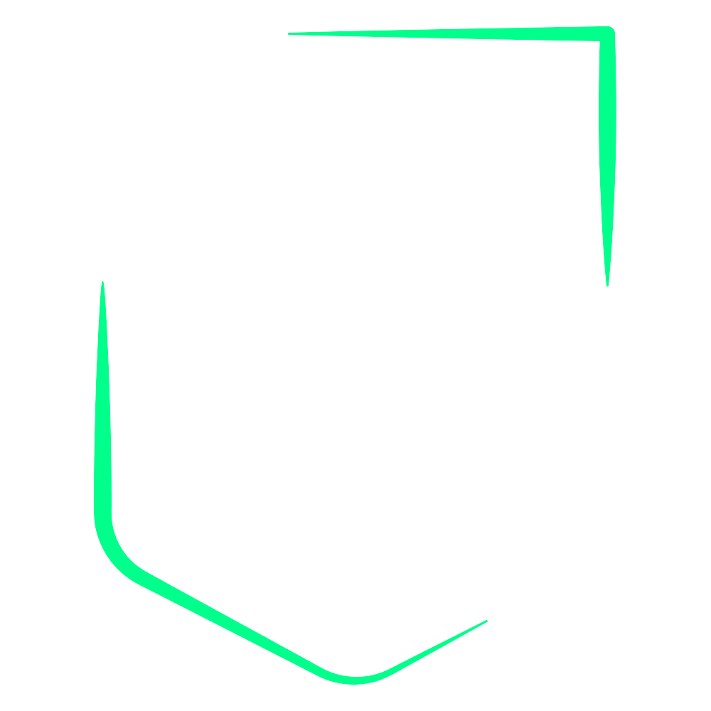 Current Season Highlights in Liga Portugal