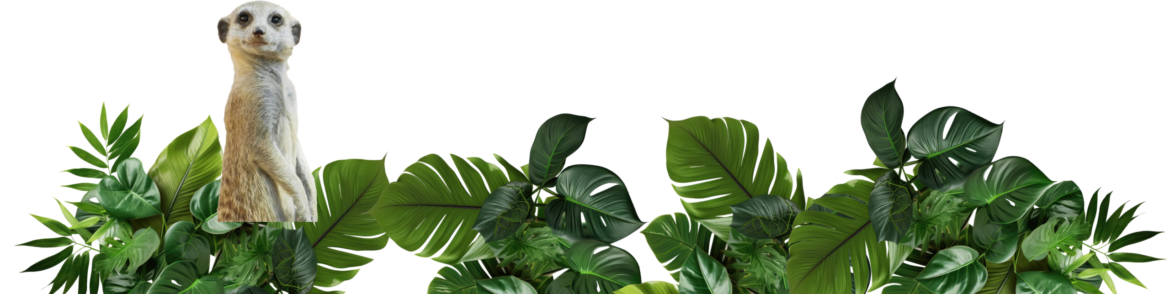 Discovering Longleat: A Premier Safari Park and Historical Gem