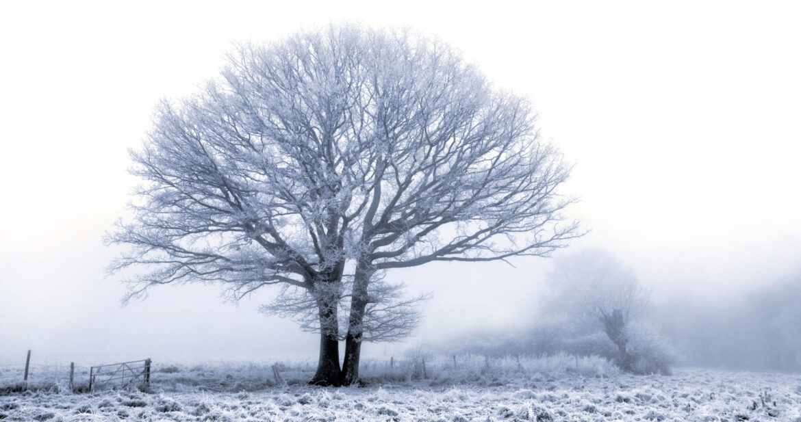 Understanding the Moderate Snow Ice Warning