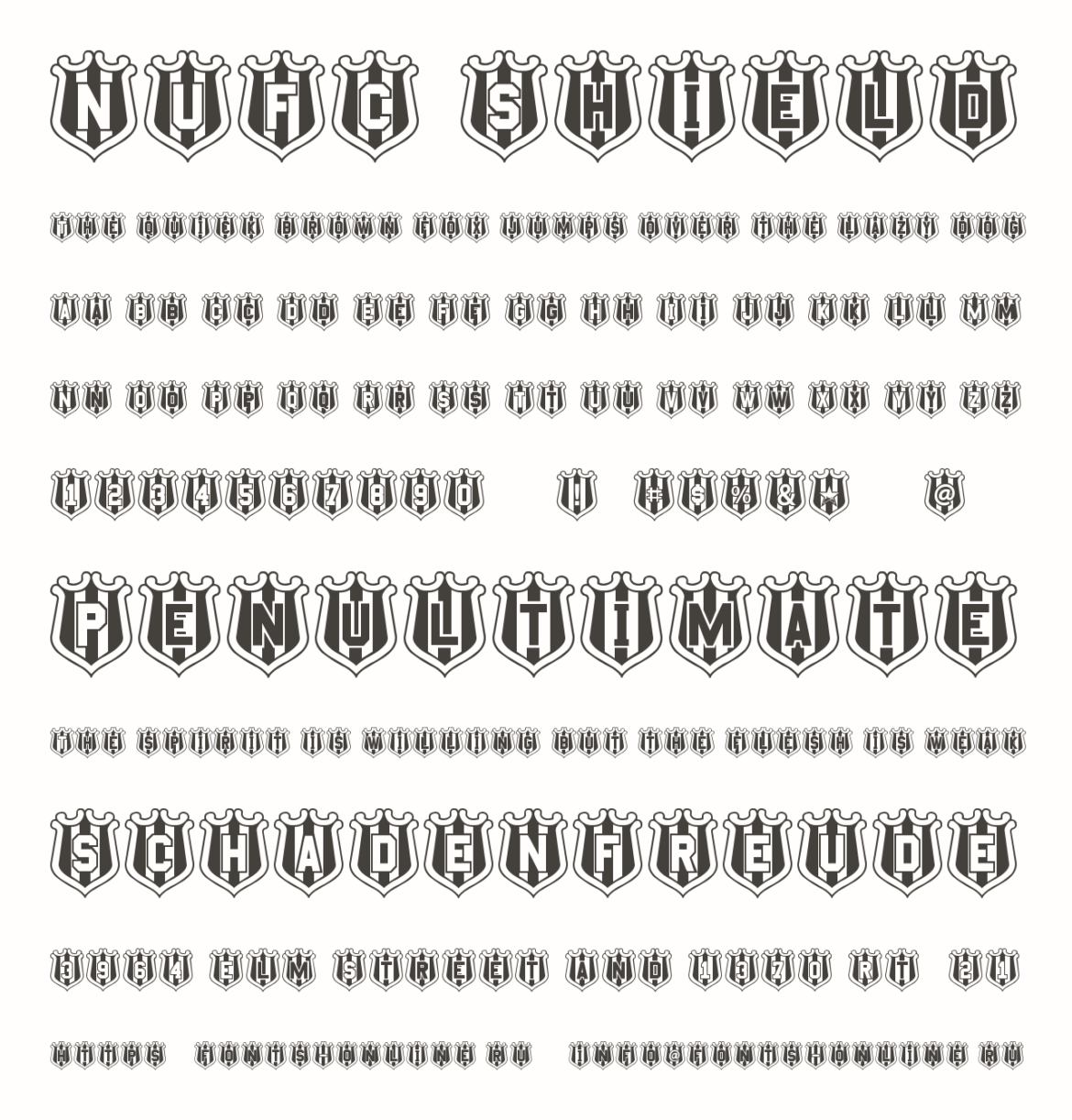 The Rise of NUFC: Current Trends and Future Prospects