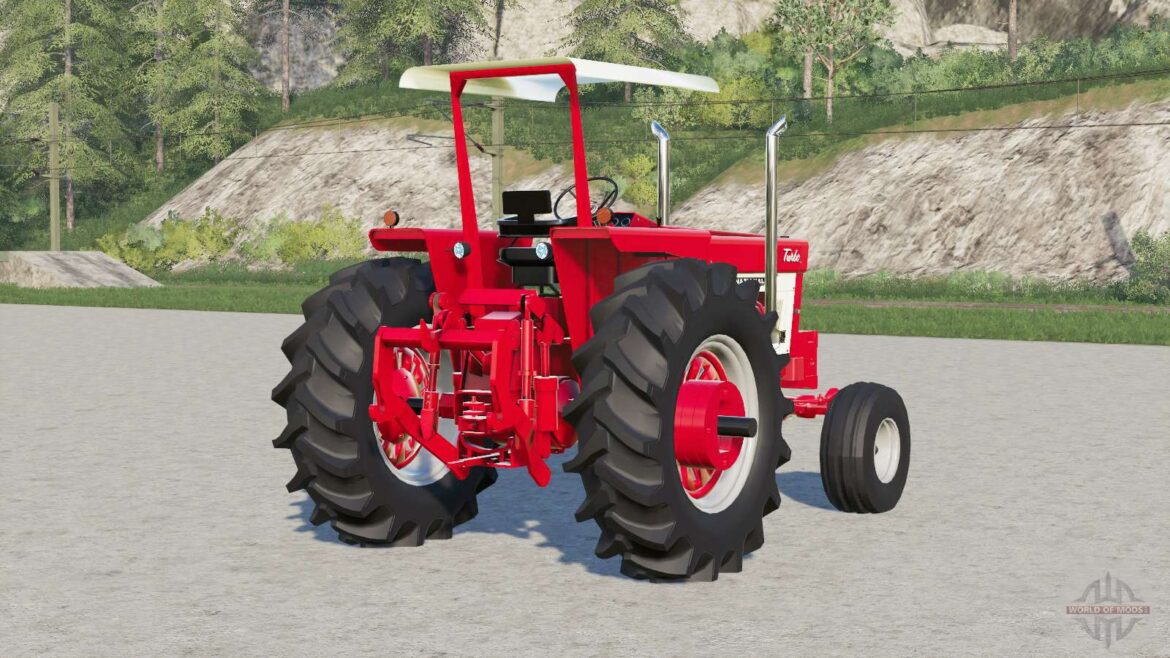 The Importance of the Letter O Across Languages