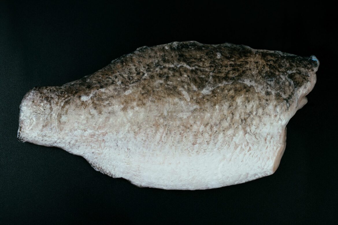 The Importance of PL in Modern Product Lifecycle Management