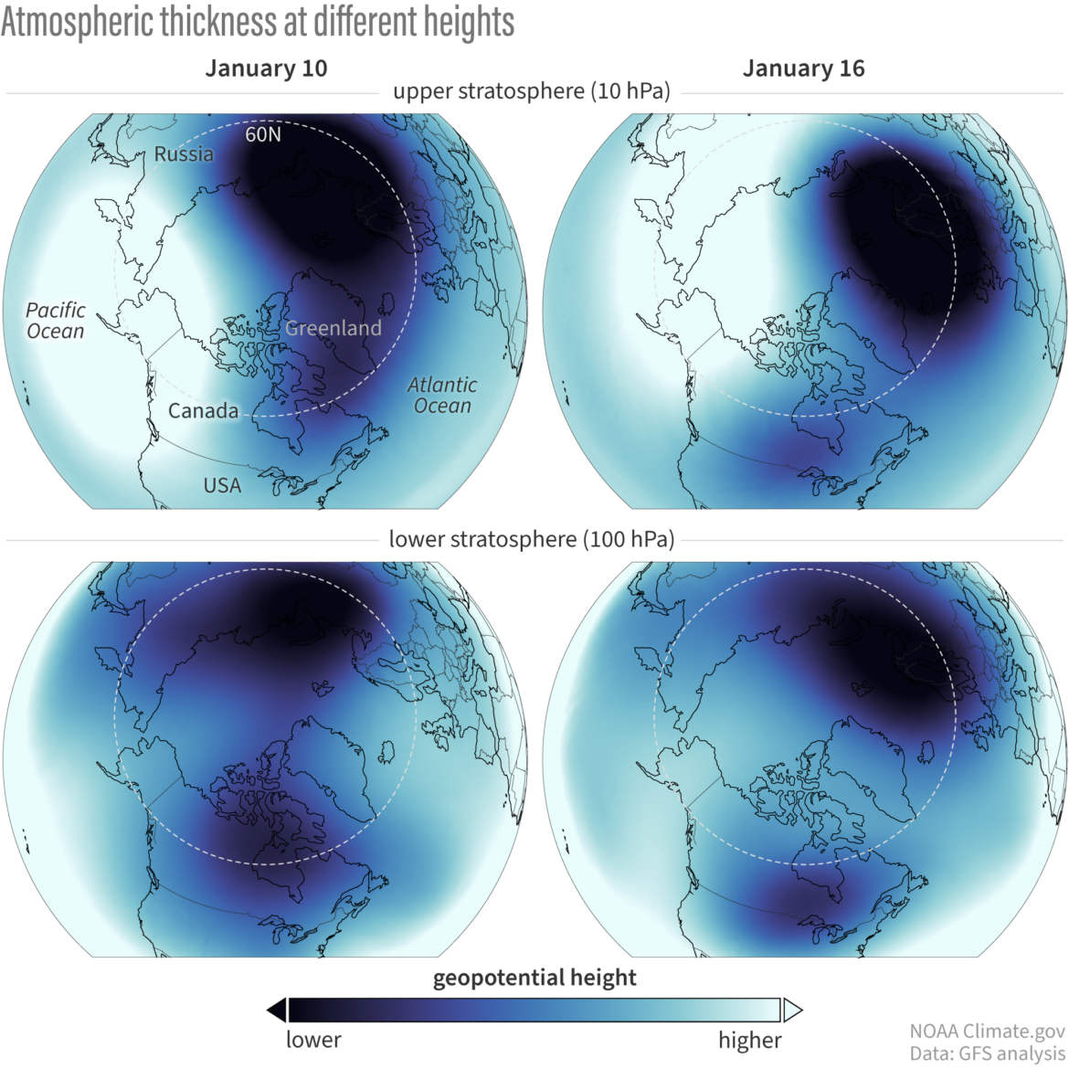 Insights into the Polar Vortex Split Forecast