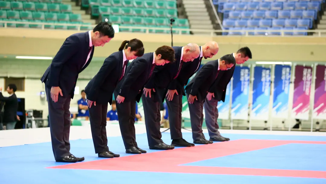 Understanding the Importance of Referees in Sports