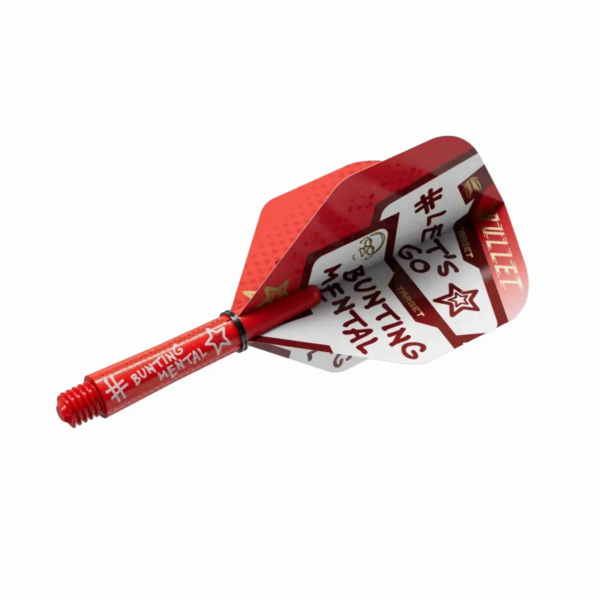 Stephen Bunting: A Look at the Darts Sensation