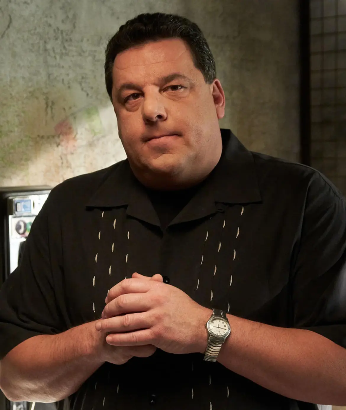 Understanding the Career of Steve Schirripa