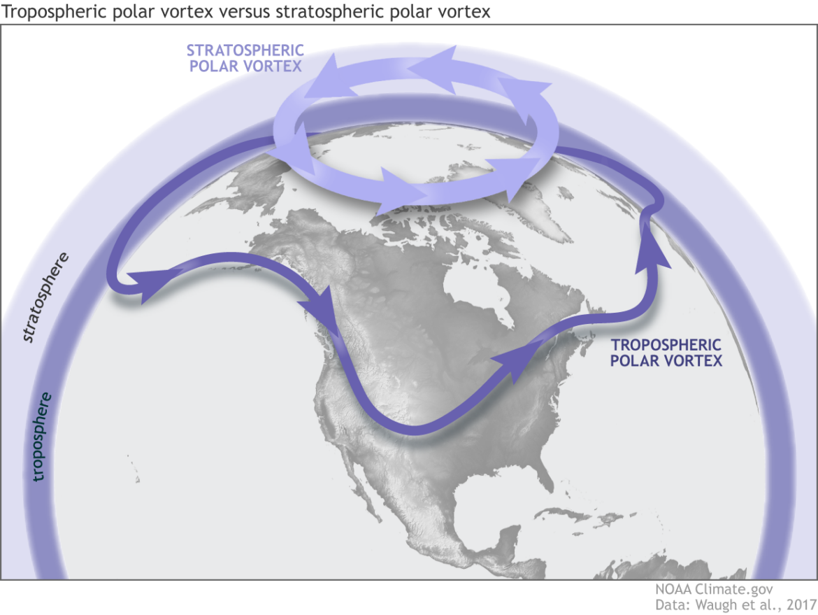 Exploring Sudden Stratospheric Warming: Causes and Effects