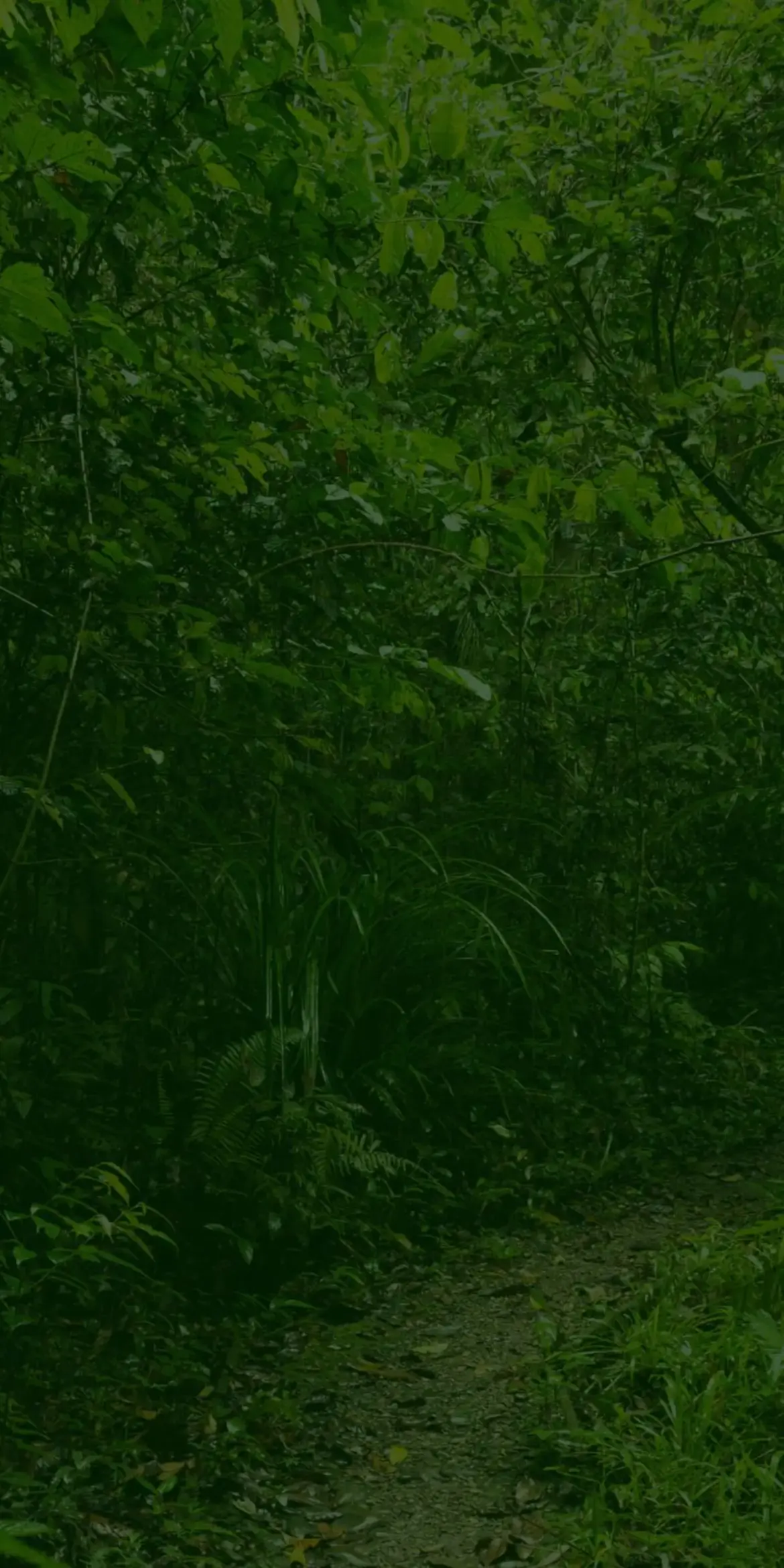 Exploring the Mission of Twycross Zoo