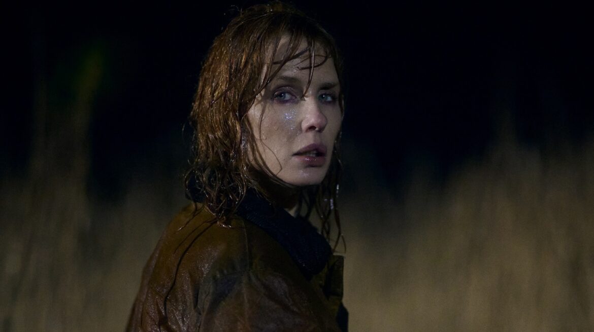 The Unique Ecology Under the Salt Marsh