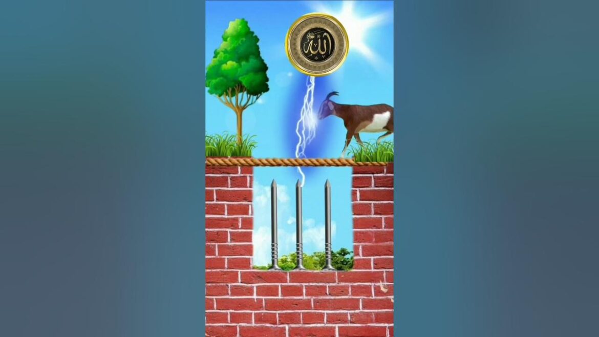 A Comprehensive Overview of Utah Valley University (UVU)