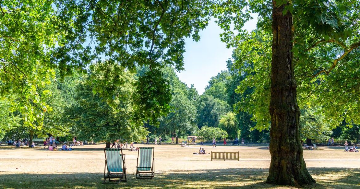 Latest Updates on the Weather in London