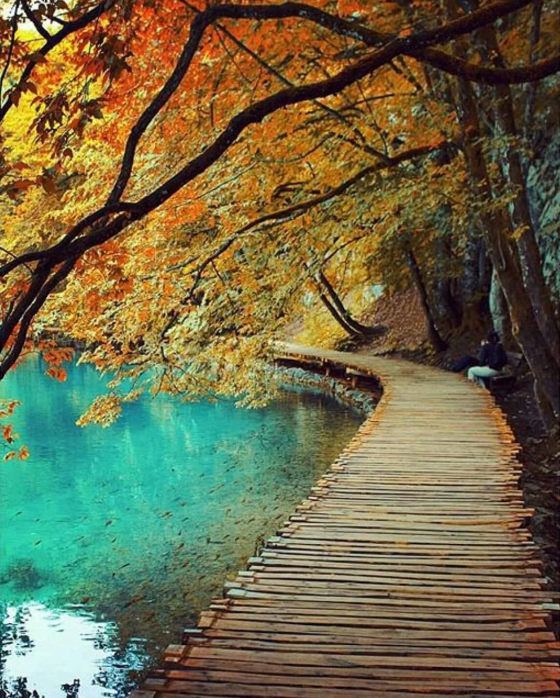 The Evolution and Impact of WhatsApp in Modern Communication