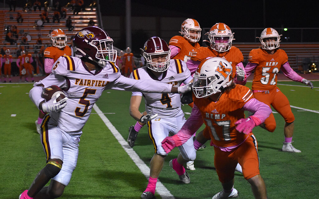 Understanding Yellowjackets: Nature’s Aggressive Wasps