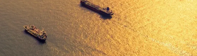 12 march — IN news