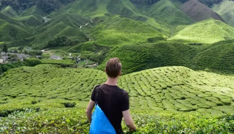 23 march holiday — IN news